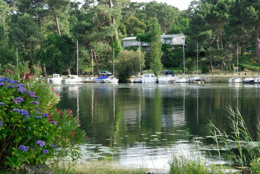 Residence Pierre & Vacances Le Domaine De Gascogne Biscarrosse Kültér fotó